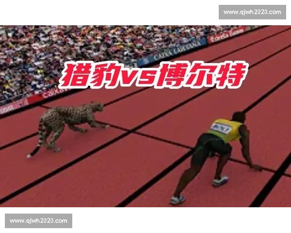 博尔特与猎豹速度极限对比解析人类与自然的极速奥秘